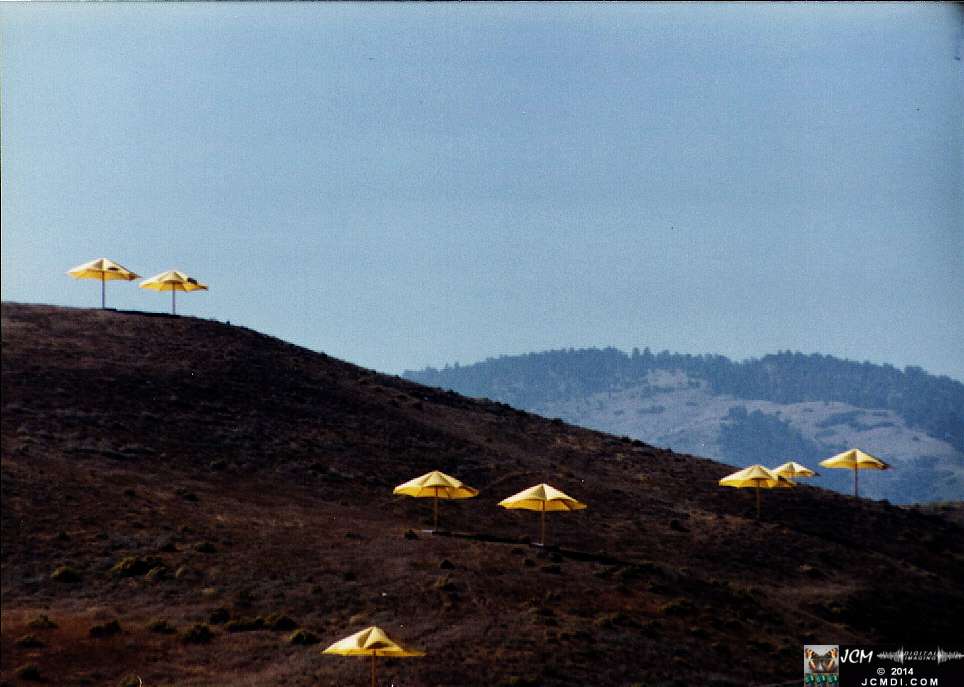 1760 Giant Yellow Umbrella Art Exhibit in Gorman California by Christo Javacheff of Bulgaria, October 1991. JCMDI.COM